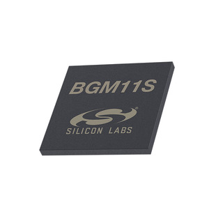 BGM11S12F256GA-V2R Image